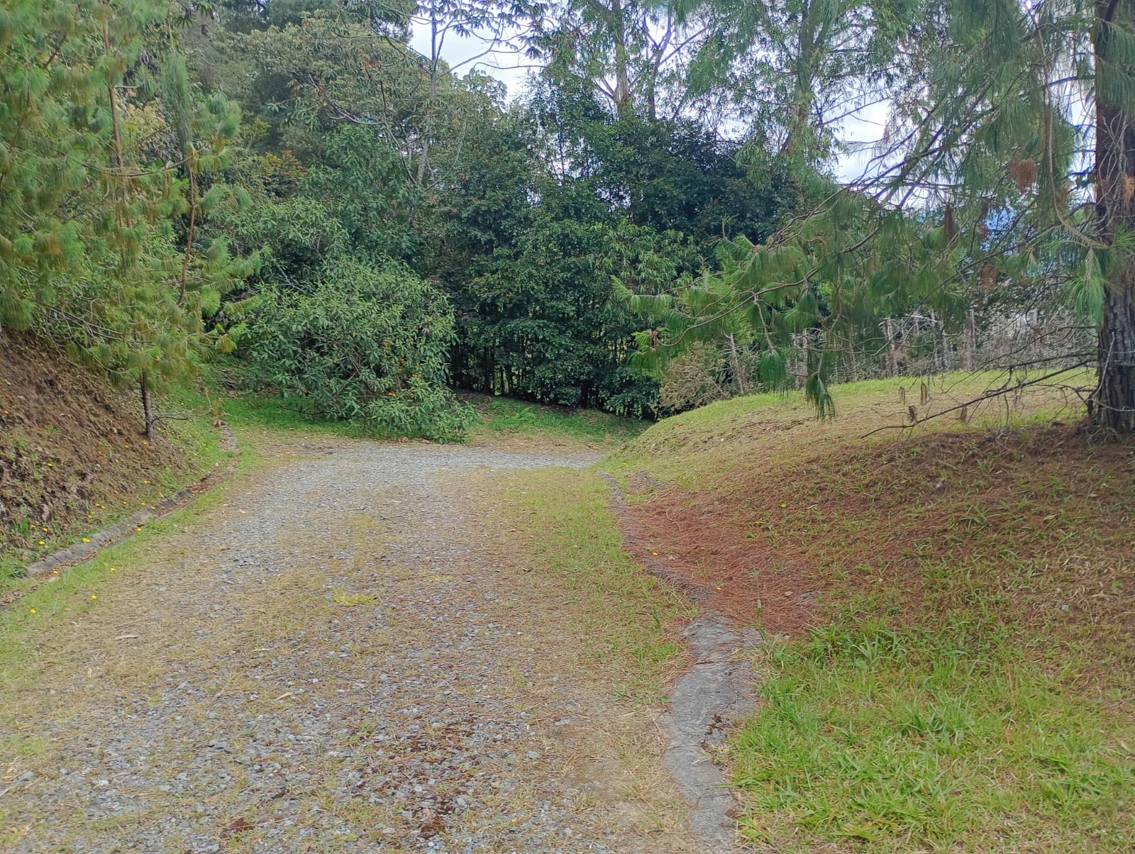 Land in Vía Las Palmas (633 m²) for Sale - 4