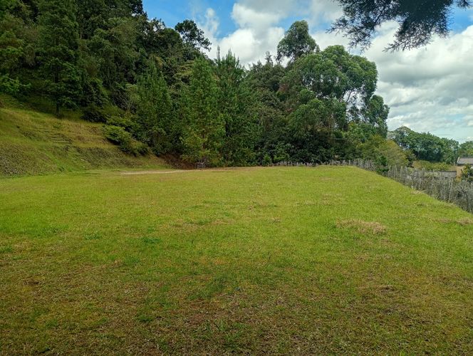 Lote en venta en Vía Las Palmas, Envigado, 633 m² · foto 9 de 20