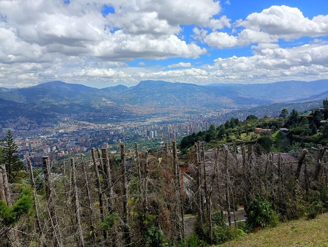 Lote en venta en Vía Las Palmas, Envigado, 633 m² · foto 14 de 20
