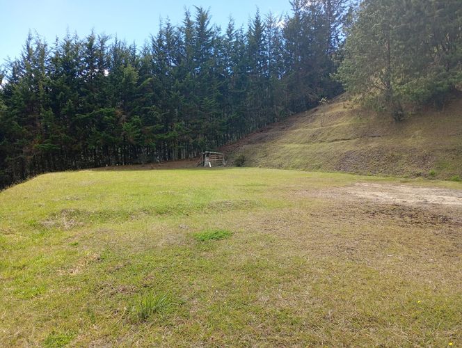 Lote en venta en Vía Las Palmas, Envigado, 633 m² · foto 19 de 20