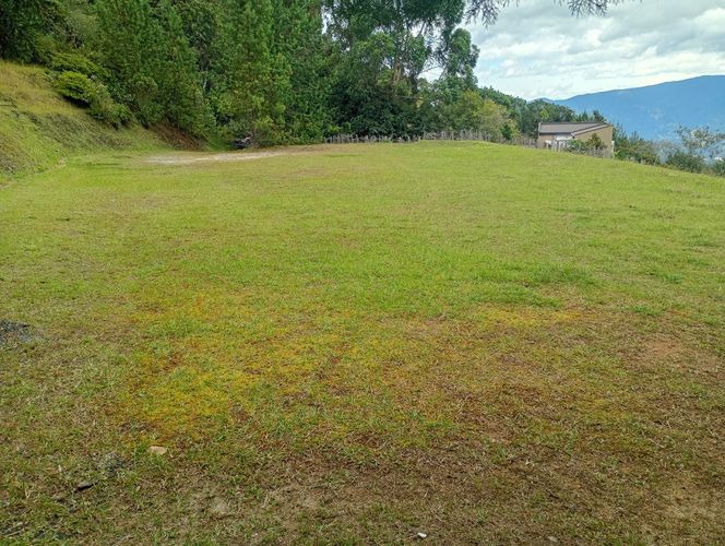 Lote en venta en Vía Las Palmas, Envigado, 633 m² · foto 17 de 20