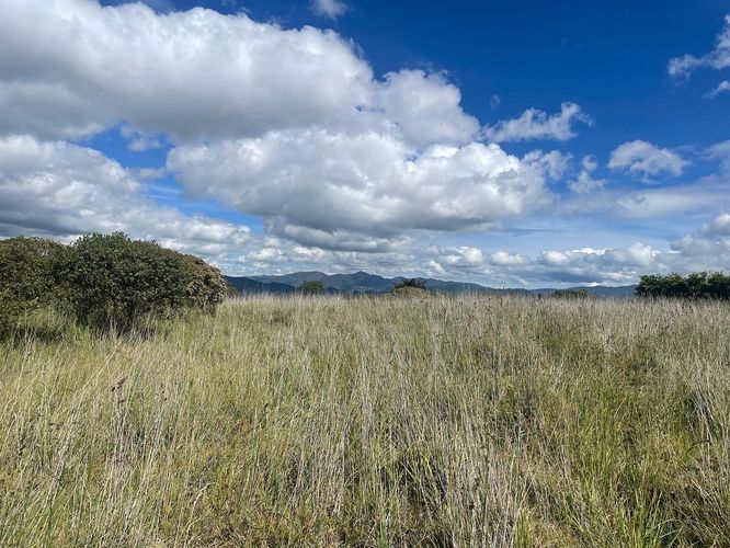 Lote en venta en Sindamanoy, Chía, 13100 m² · foto 6 de 24