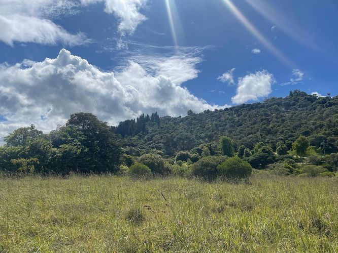 Lote en venta en Sindamanoy, Chía, 13100 m² · foto 9 de 24