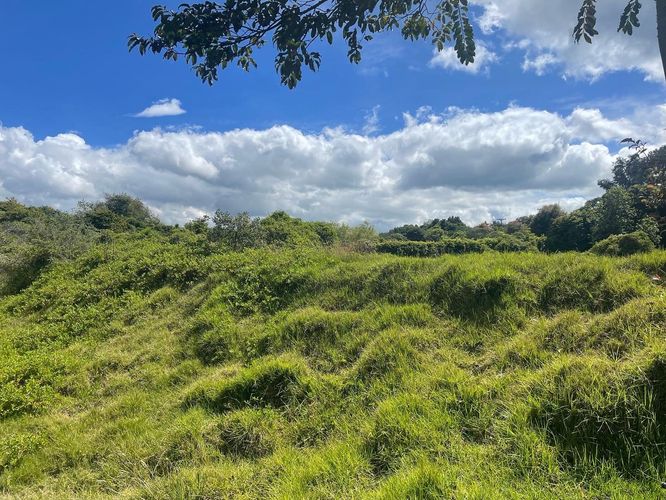 Lote en venta en Sindamanoy, Chía, 13100 m² · foto 7 de 24