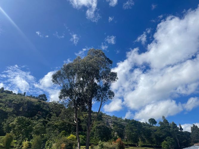 Lote en venta en Sindamanoy, Chía, 13100 m² · foto 16 de 24
