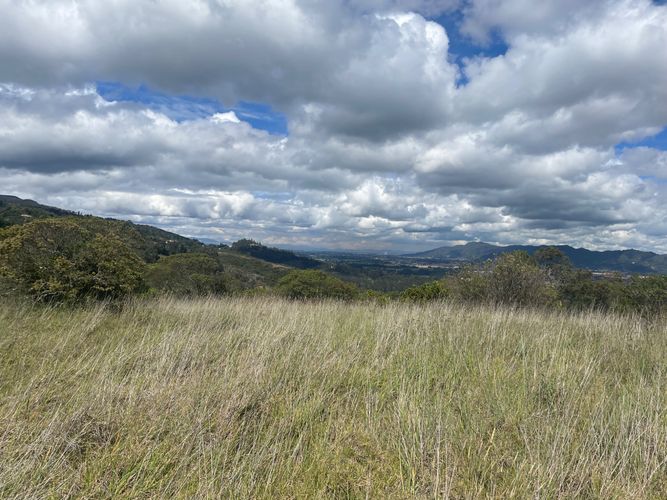 Lote en venta en Sindamanoy, Chía, 13100 m² · foto 20 de 24