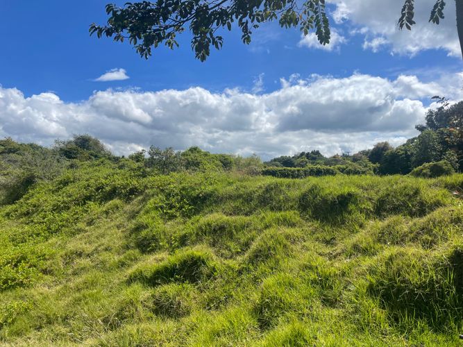 Lote en venta en Sindamanoy, Chía, 13100 m² · foto 22 de 24