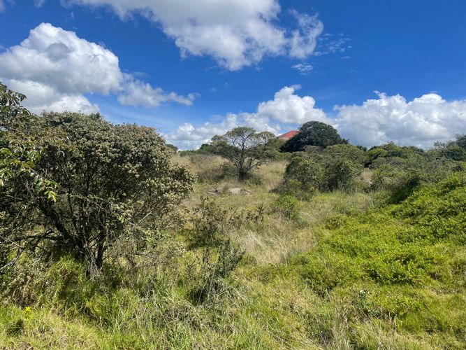 Lote en venta en Sindamanoy, Chía, 13100 m² · foto 24 de 24