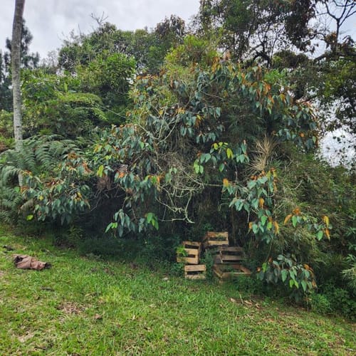 Lote en venta en Pantanillo, El Retiro, 5400 m² · foto 8 de 12