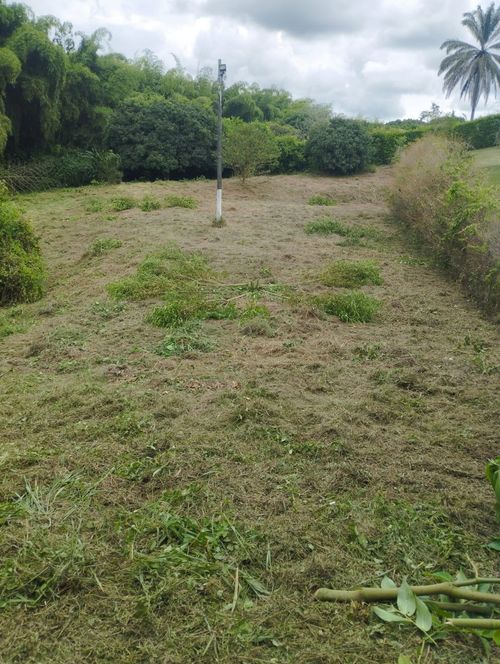 Lote en venta en Cerritos, Pereira, 4725 m² · foto 3 de 6