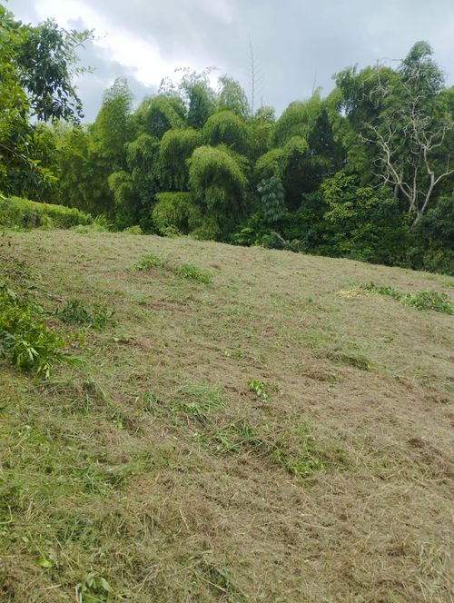 Lote en venta en Cerritos, Pereira, 4725 m² · foto 4 de 6