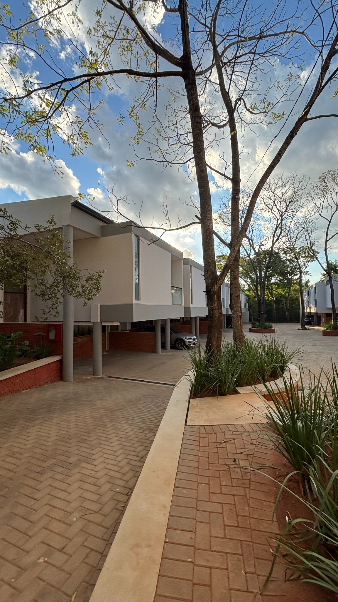 Villa del Bosque – Barrio cerrado en Luque — foto 2