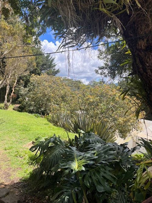 Finca en arriendo en La Ceja, 70 m² · foto 3 de 24