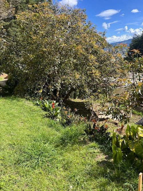 Finca en arriendo en La Ceja, 70 m² · foto 8 de 24