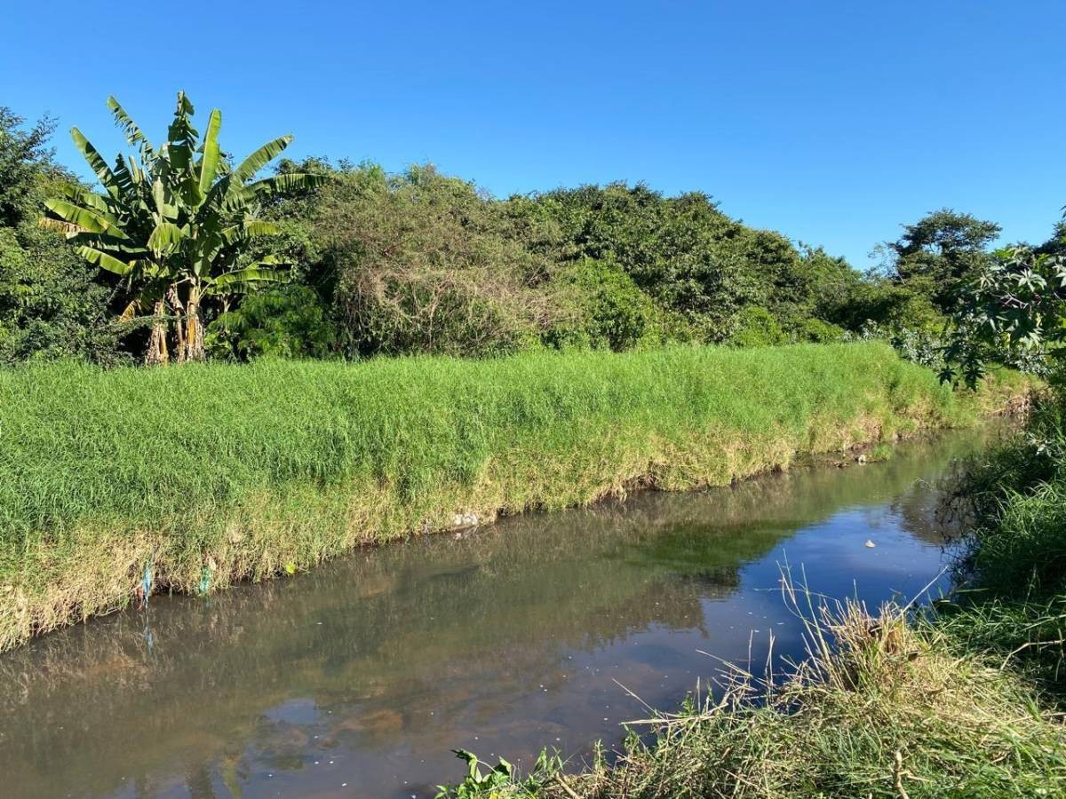 TERRENO 24 HA EN ISLA BOGADO LUQUE — foto 3