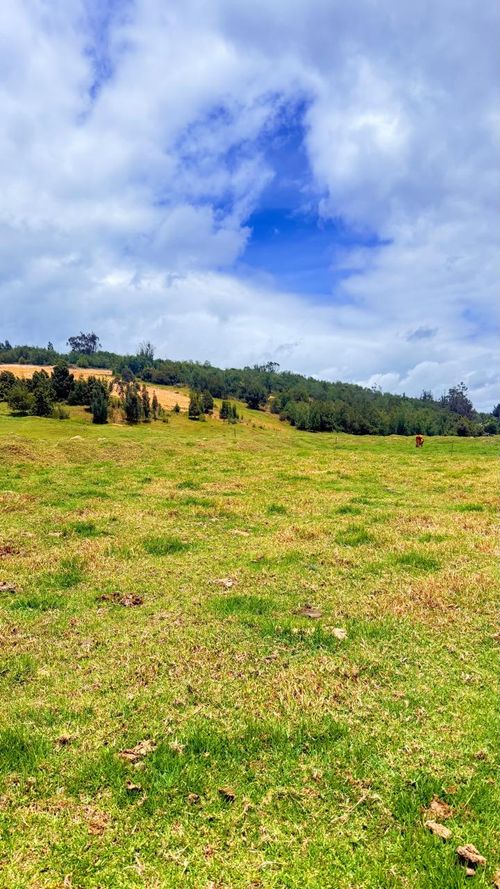 Lote en venta en Tunja, Tunja, 91 m² · foto 5 de 8