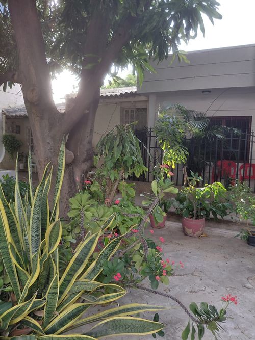 Casa en venta en Cerro La Llorona, Santa Marta · foto 11 de 12