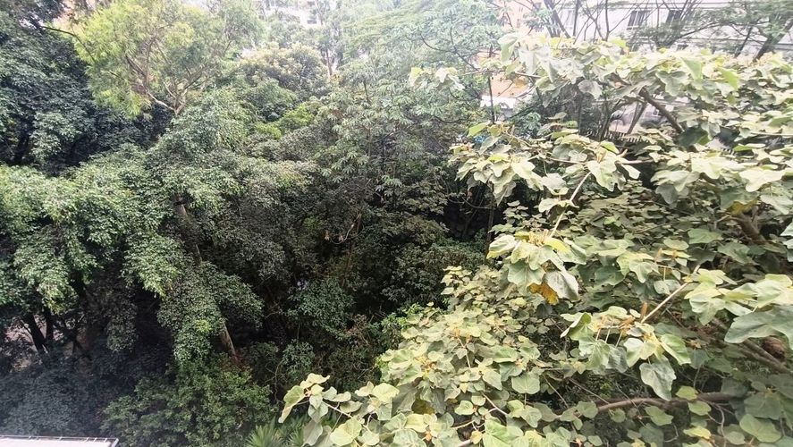 Apartamento de 3 alcobas en venta en San Lucas, Medellín, 205 m² · foto 13 de 24