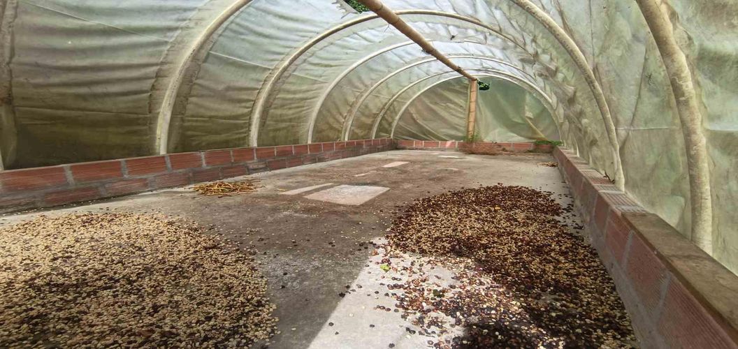 Finca en venta en Alto Bonito, Manizales, 250 m² · foto 3 de 24