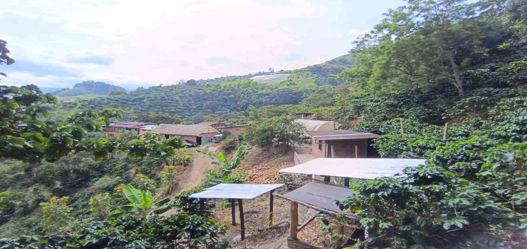 Finca en venta en Alto Bonito, Manizales, 250 m² · foto 7 de 24