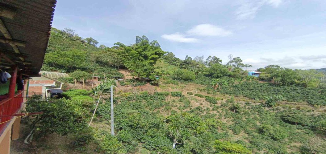 Finca en venta en Alto Bonito, Manizales, 250 m² · foto 10 de 24