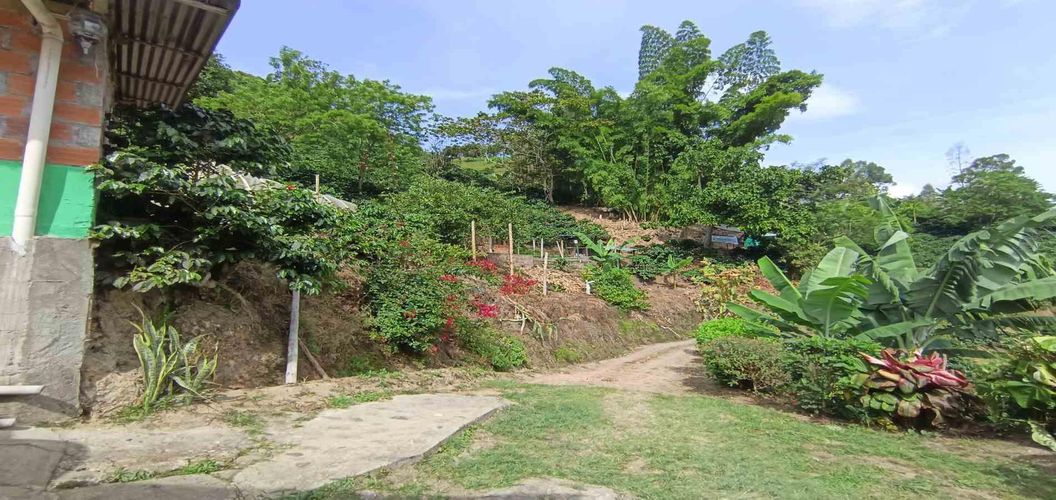 Finca en venta en Alto Bonito, Manizales, 250 m² · foto 20 de 24