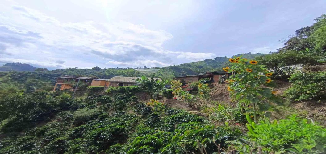 Finca en venta en Alto Bonito, Manizales, 250 m² · foto 21 de 24