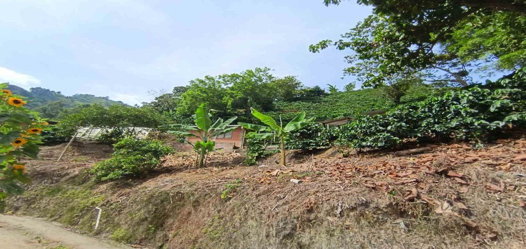 Finca en venta en Alto Bonito, Manizales, 250 m² · foto 22 de 24