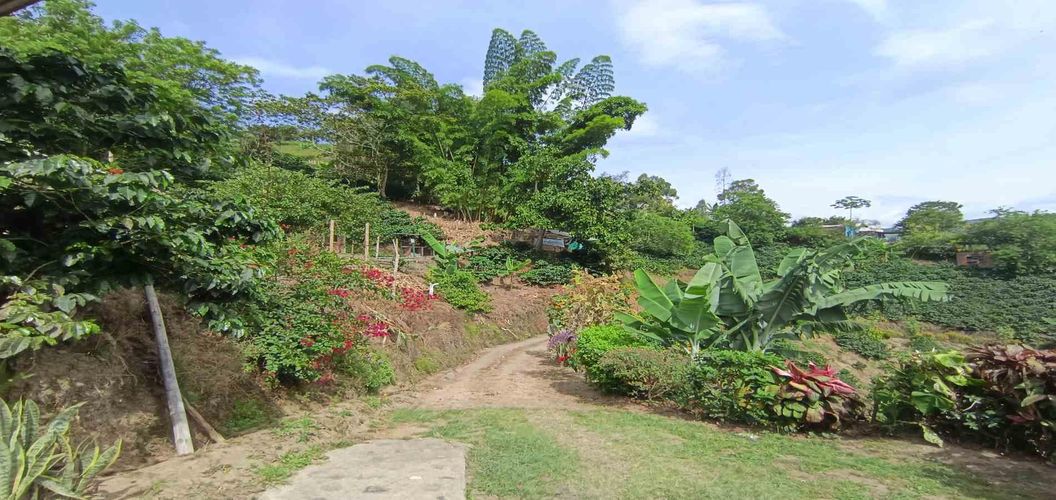Finca en venta en Alto Bonito, Manizales, 250 m² · foto 23 de 24