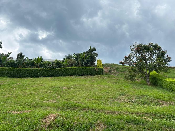 Lote en venta en El Rosario, Manizales, 1730 m² · foto 9 de 13