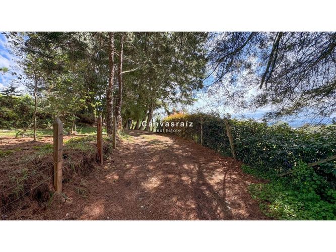 Finca en venta en Chaparral, Guarne, 380 m² · foto 12 de 14