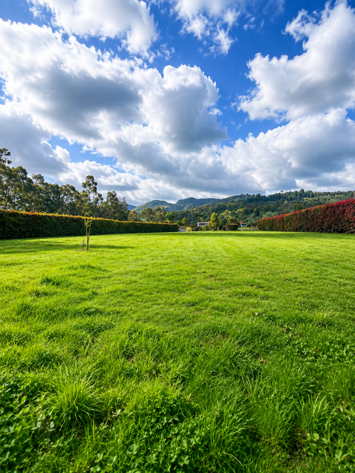 Lote en venta en Paso Real, La Calera, 2500 m² · foto 2 de 17