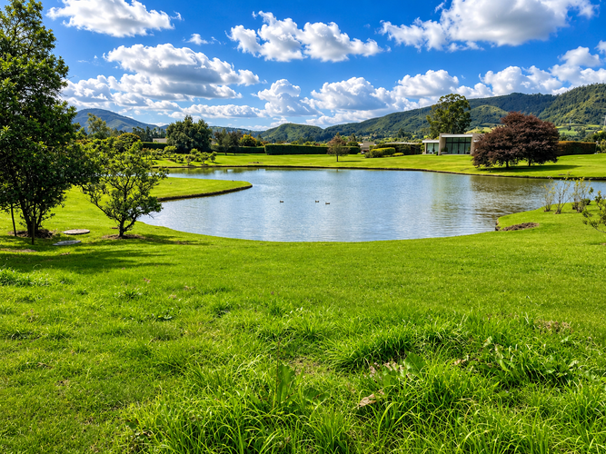 Lote en venta en Paso Real, La Calera, 2500 m² · foto 7 de 17