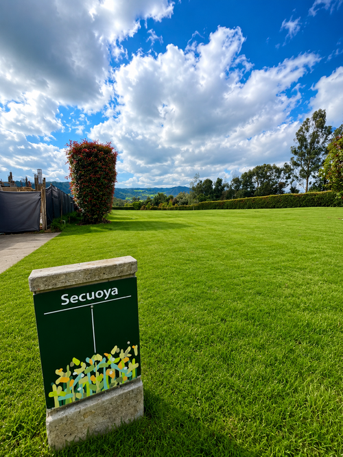Lote en venta en Paso Real, La Calera, 2500 m² · foto 15 de 17
