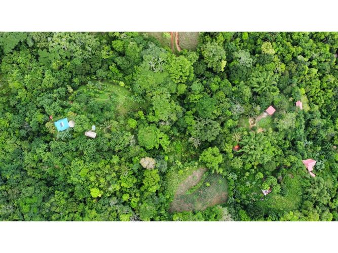 Finca en venta en Corregimiento De Bonda, Santa Marta, 40172 m² · foto 5 de 24