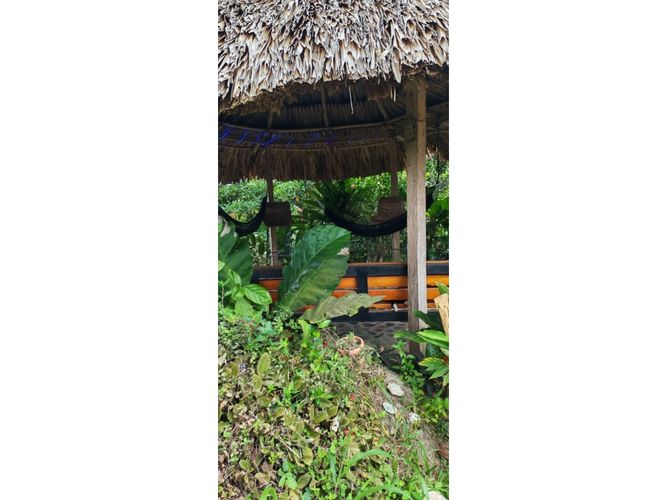 Finca en venta en Corregimiento De Bonda, Santa Marta, 40172 m² · foto 11 de 24