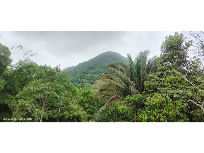 Finca en venta en Corregimiento De Bonda, Santa Marta, 40172 m² · foto 17 de 24