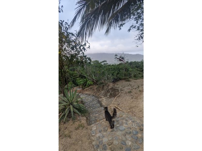 Finca en venta en Corregimiento De Bonda, Santa Marta, 40172 m² · foto 21 de 24