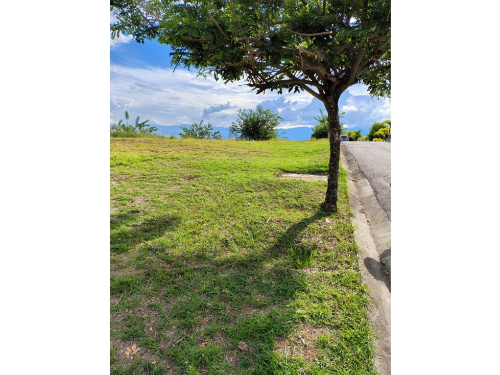 Lote en venta en Cerritos, Pereira, 10237 m² · foto 6 de 12