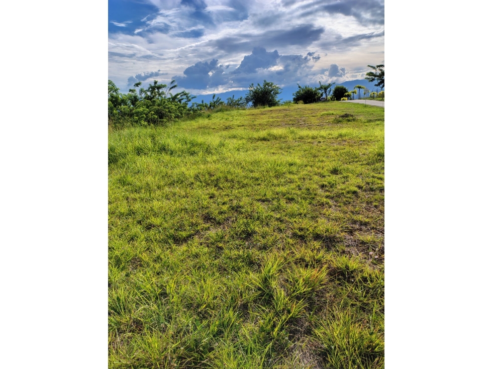 Lote en venta en Cerritos, Pereira, 10237 m² · foto 7 de 12