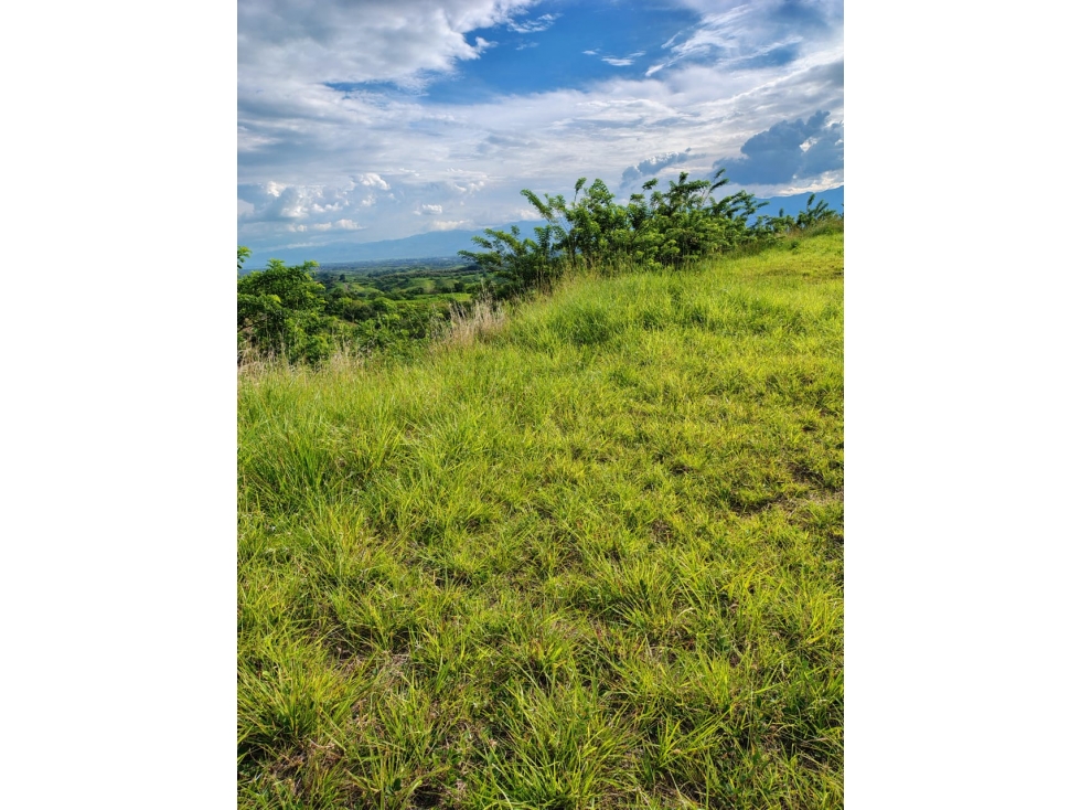 Lote en venta en Cerritos, Pereira, 10237 m² · foto 11 de 12