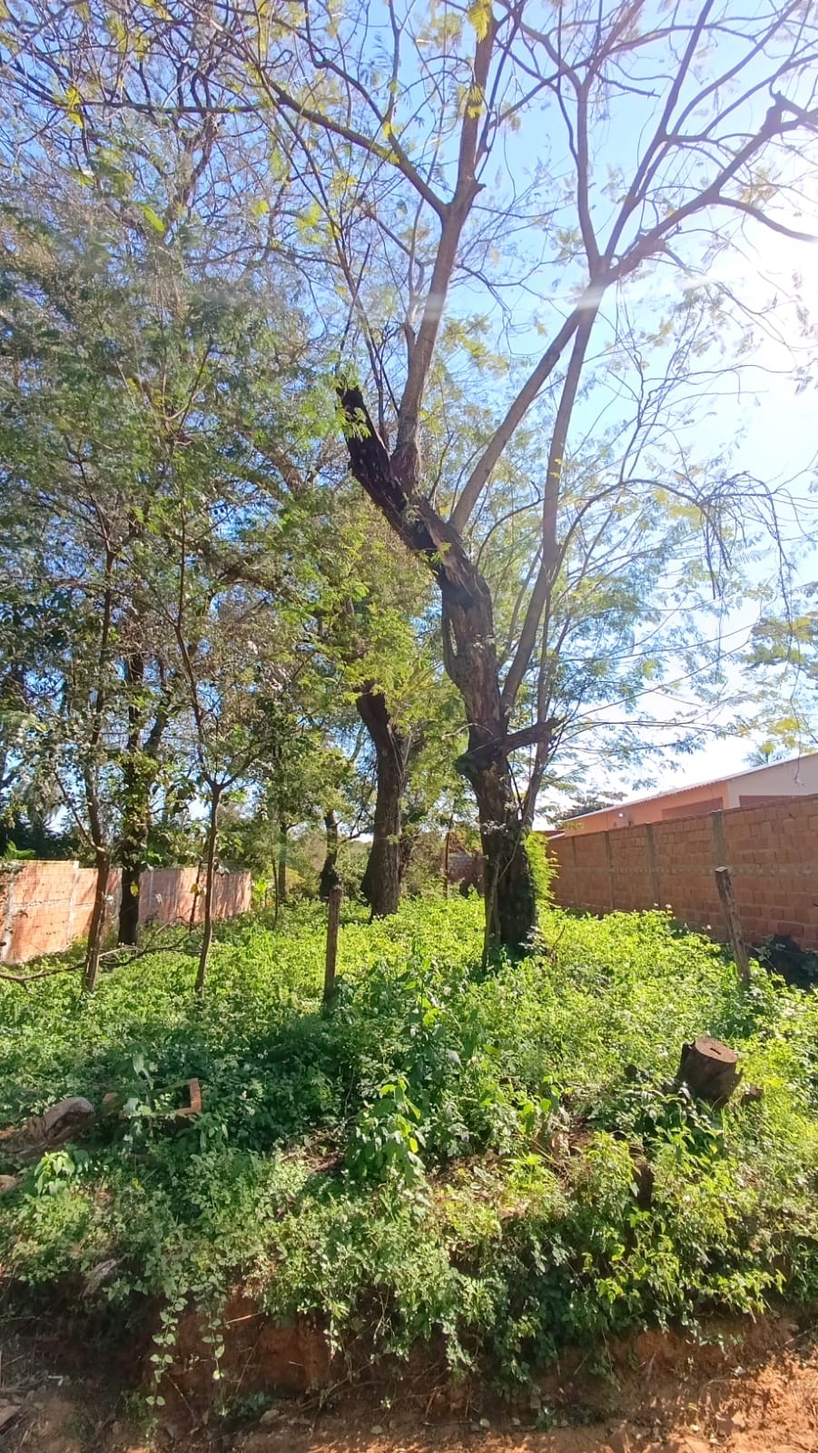 Terreno en venta en Luque — foto 2