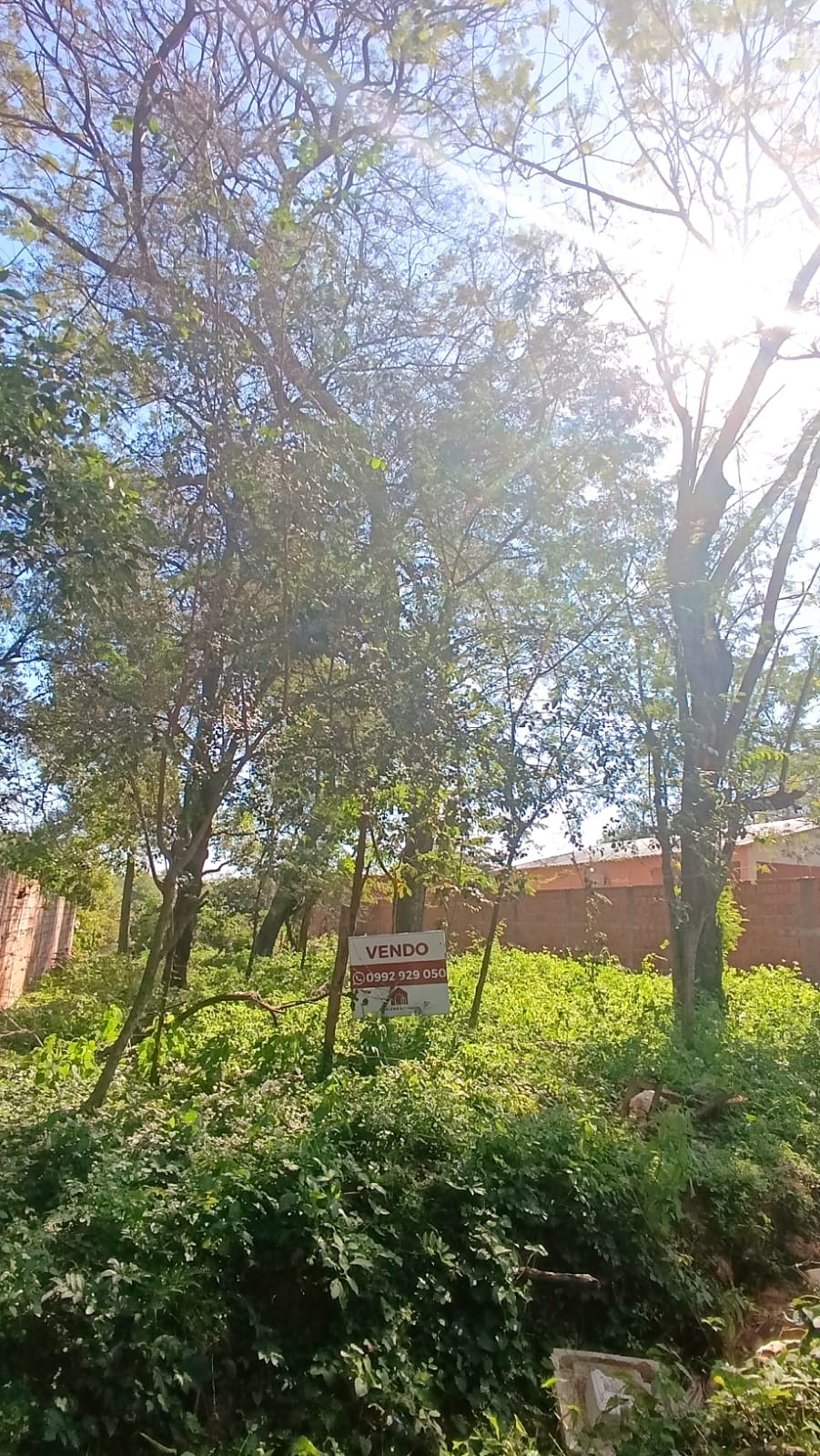 Terreno en venta en Luque — foto 3
