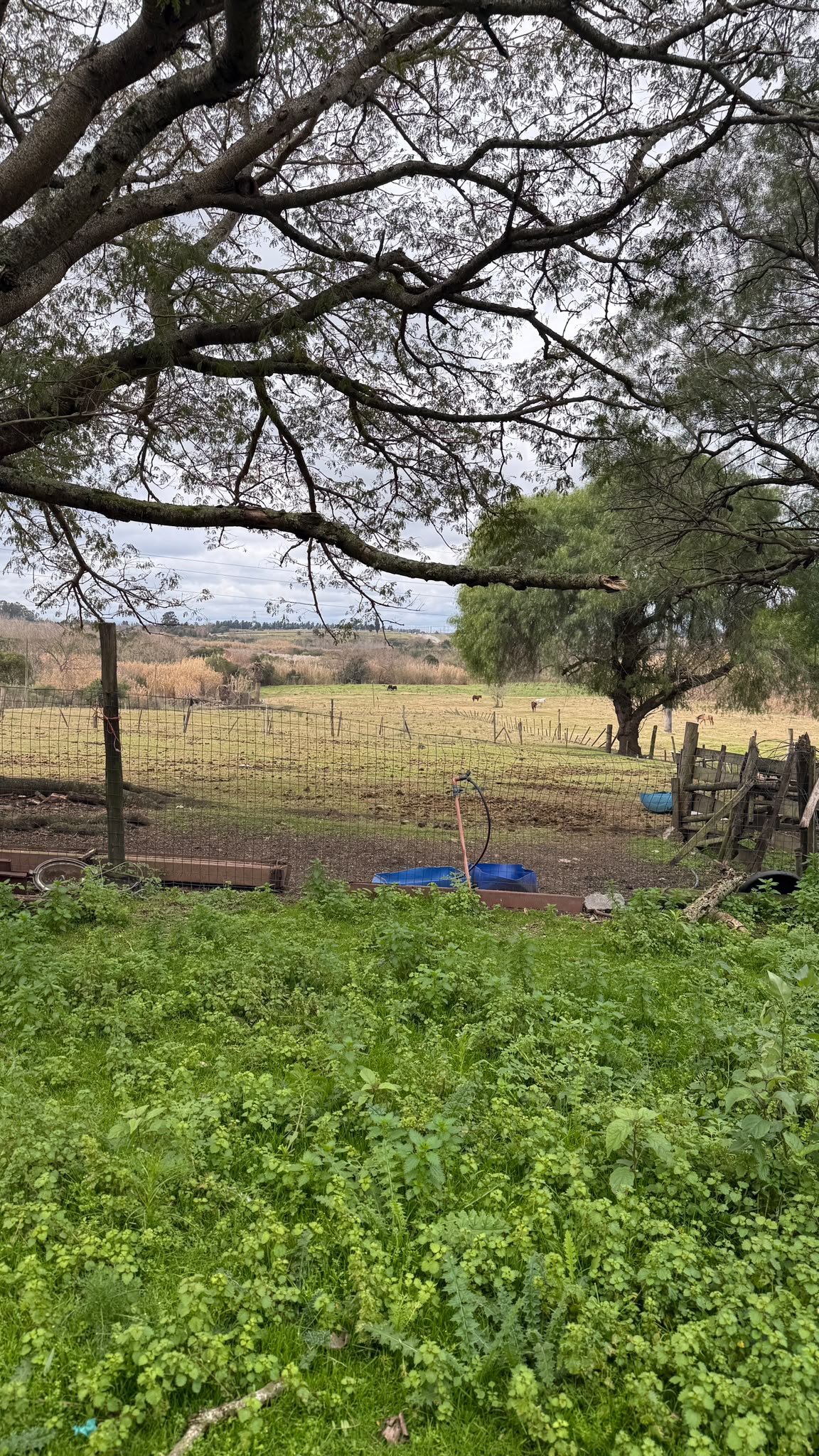 Terreno rural con vivienda en alquiler Manga