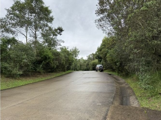 Lote en venta en Pradera De Potosi, La Calera, 2500 m² · foto 3 de 22