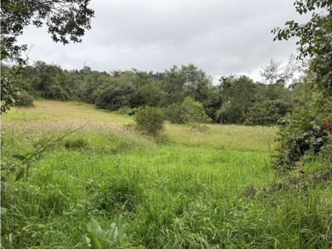 Lote en venta en Pradera De Potosi, La Calera, 2500 m² · foto 4 de 22