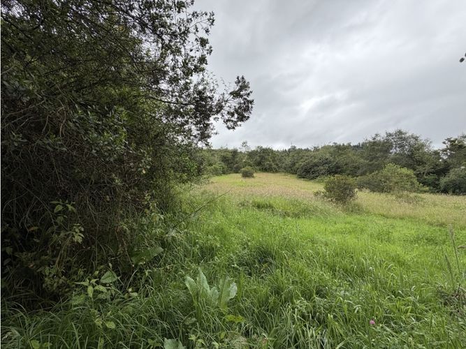 Lote en venta en Pradera De Potosi, La Calera, 2500 m² · foto 5 de 22