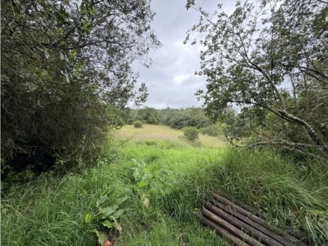 Lote en venta en Pradera De Potosi, La Calera, 2500 m² · foto 6 de 22