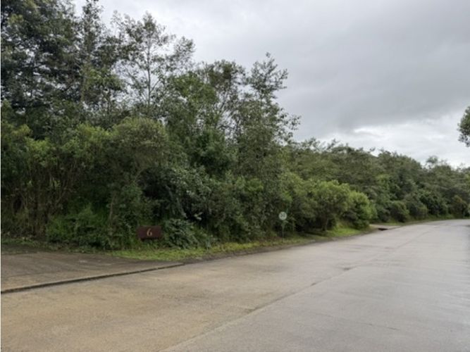 Lote en venta en Pradera De Potosi, La Calera, 2500 m² · foto 11 de 22