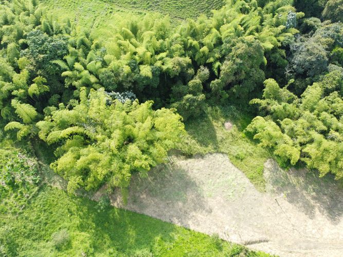 Lote en venta en Condina, Pereira, 10000 m² · foto 7 de 24